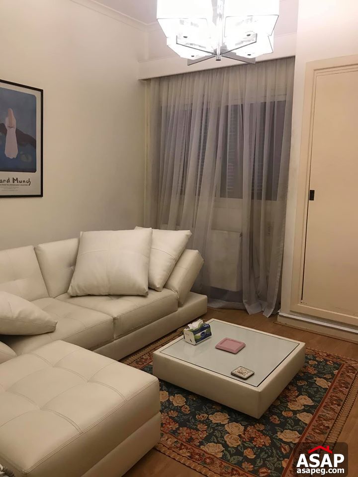 Apartment for Rent in Zamalek Apartment for Rent in Zamalek