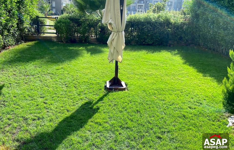 Ground Floor for Rent in Palm Parks - Sheikh Zayed Ground Floor for Rent in Palm Parks - Sheikh Zayed