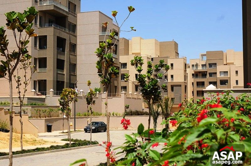 Apartment for Rent in Village Gate Palm Hills Apartment for Rent in Village Gate Palm Hills