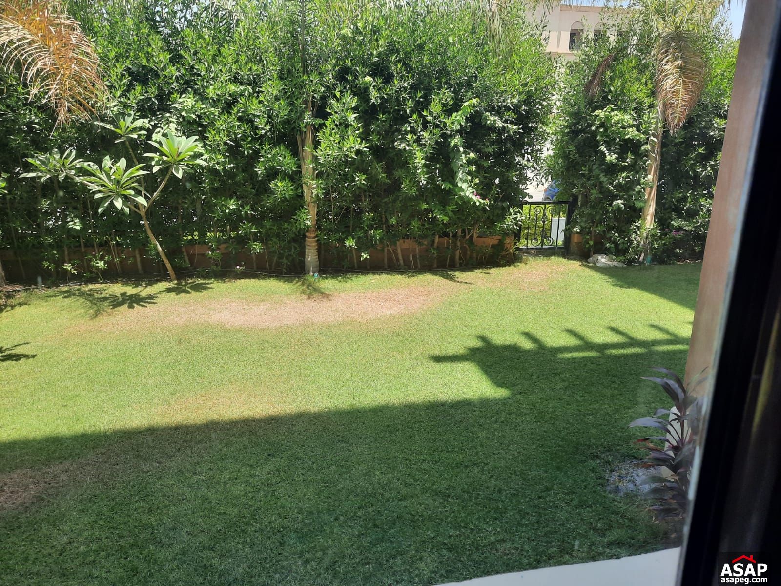 Apartment for rent in Mivida Compound