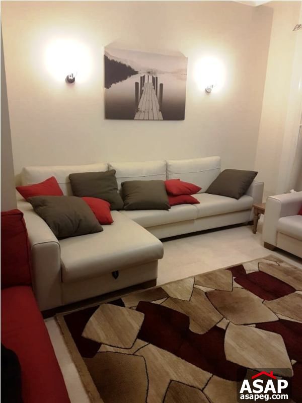 Studio for Rent in the Village Palm Hills Studio for Rent in the Village Palm Hills