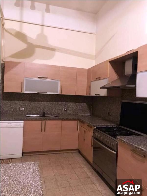 Apartment with Nile View for Rent in Zamalek Apartment with Nile View for Rent in Zamalek