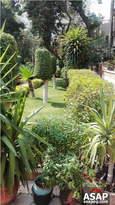 Apartment with Garden View in Sarayat El Maadi Apartment with Garden View in Sarayat El Maadi