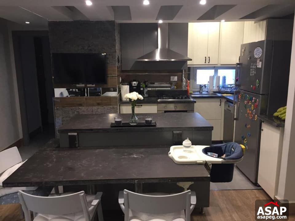 Furnished Flat for Rent in Zamalek Furnished Flat for Rent in Zamalek