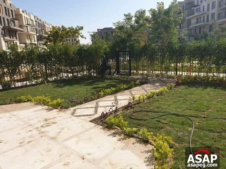 Duplex with Garden for Rent in Eastown Duplex with Garden for Rent in Eastown