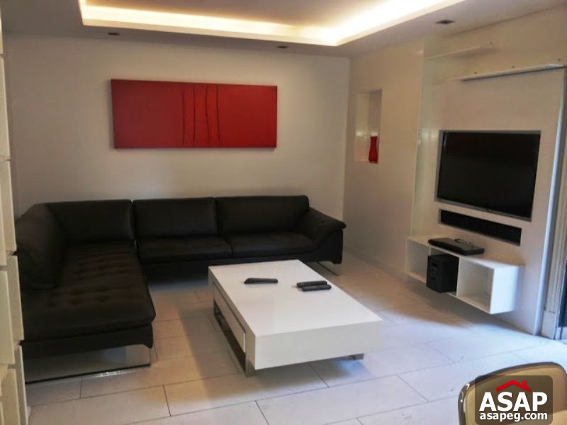 Apartment with Garden in Zamalek Apartment with Garden in Zamalek