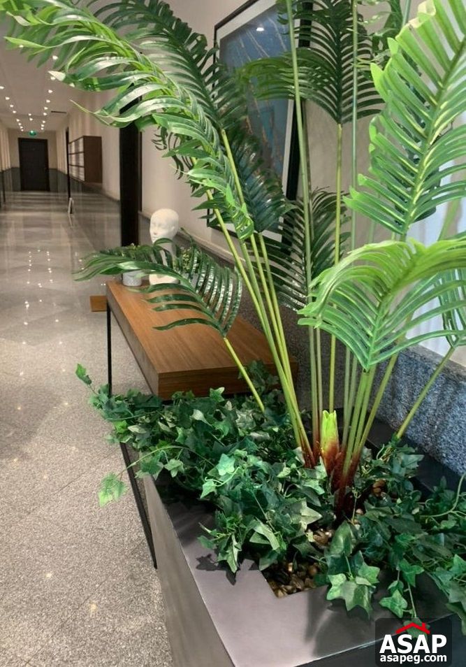 Apartment for Rent in CFC Apartment for Rent in CFC