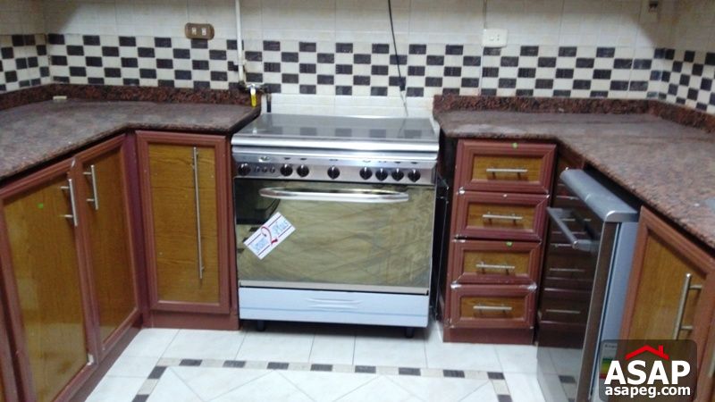 Apartment with Terrace for Rent in Zamalek