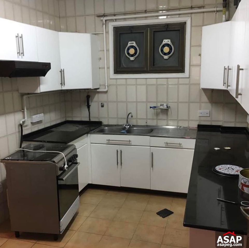 Apartment for Rent in Zamalek Apartment for Rent in Zamalek