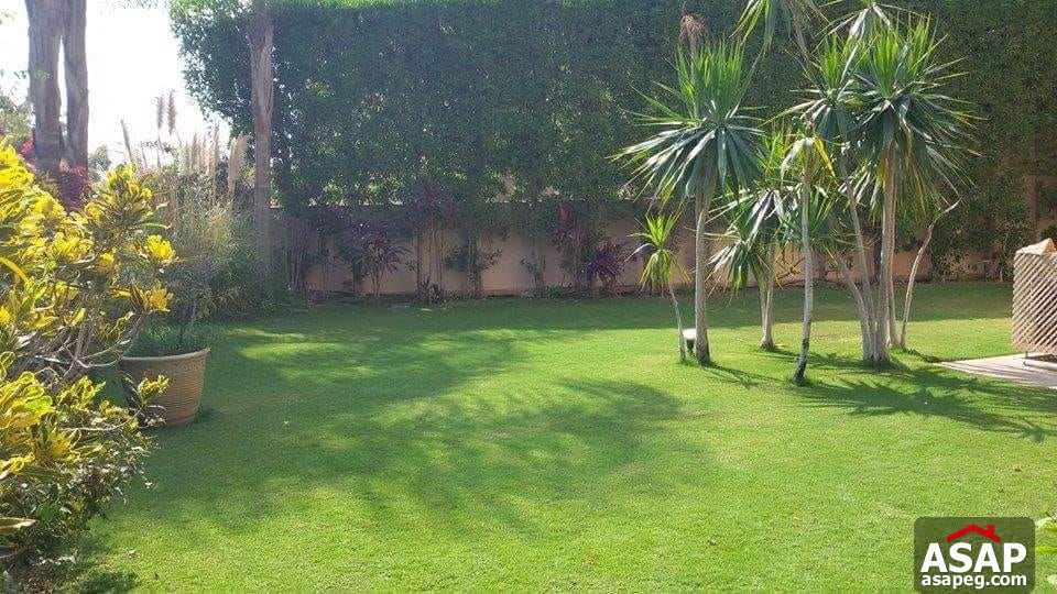 Apartment with Big Garden in Katameya Heights Apartment with Big Garden in Katameya Heights