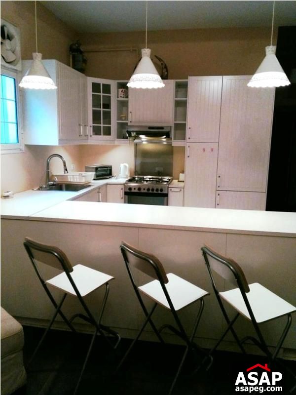 Apartment for Rent in Zamalek Apartment for Rent in Zamalek