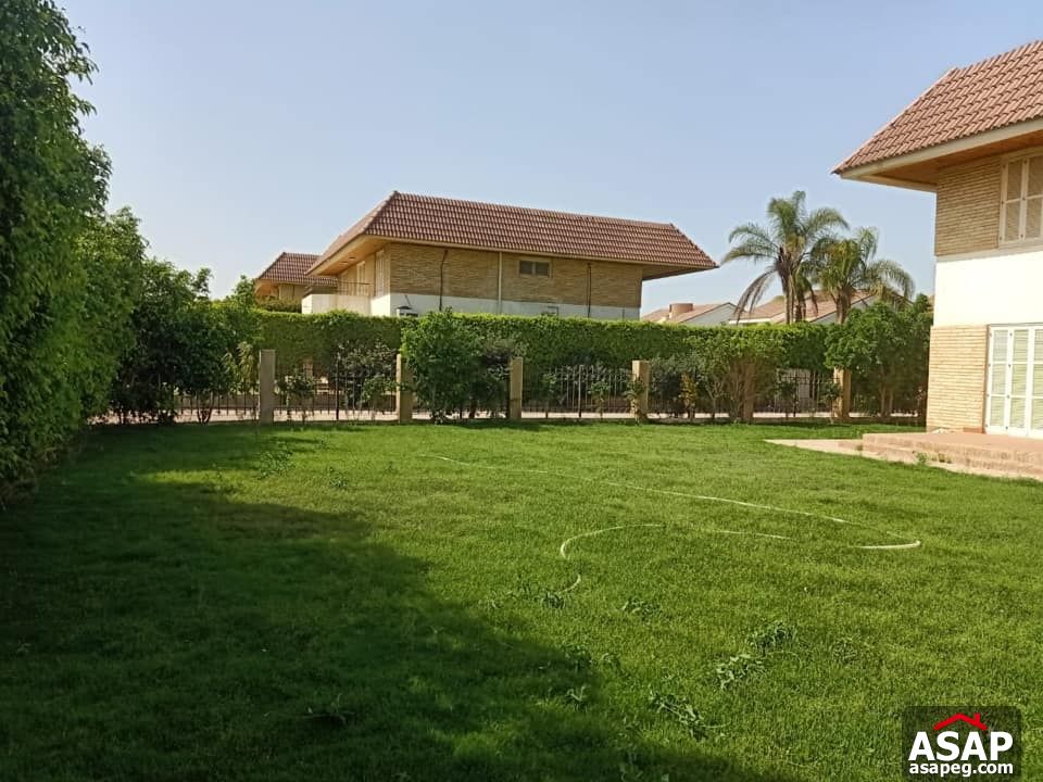 Villa for Rent in Rabwa - Sheikh Zayed Villa for Rent in Rabwa - Sheikh Zayed