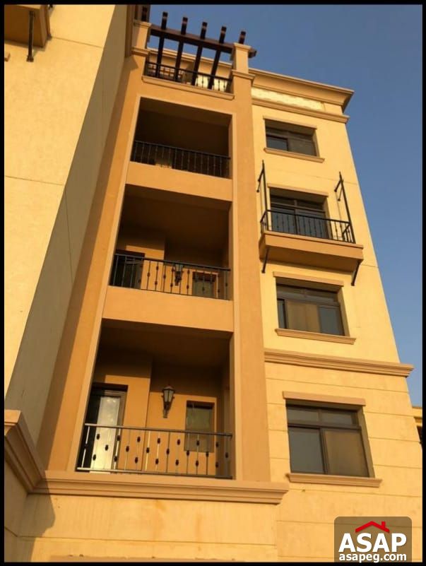 Semi Furnished Apartment in Mivida for Rent