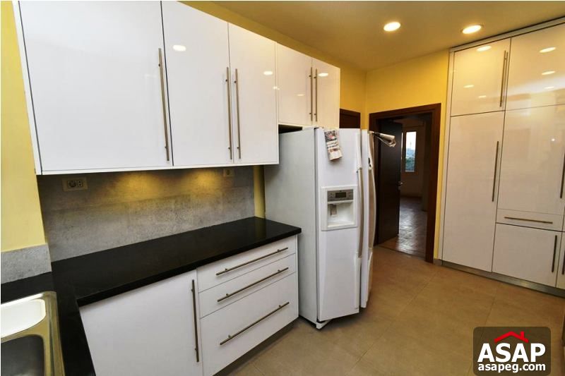 Modern Falt in Zamalek for Rent Modern Falt in Zamalek for Rent