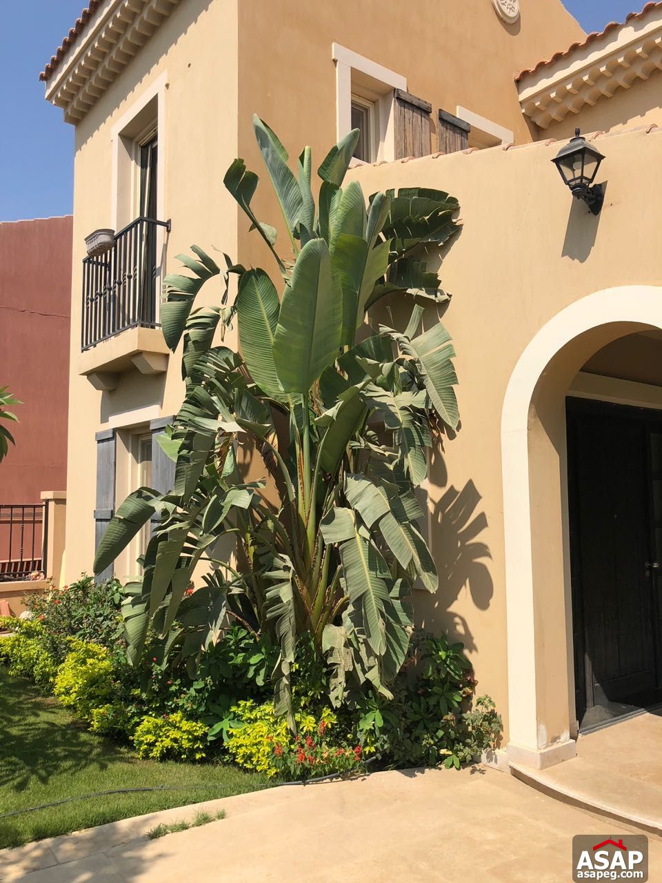 Stand Alone with Big Garden for Rent in Mivida Stand Alone with Big Garden for Rent in Mivida