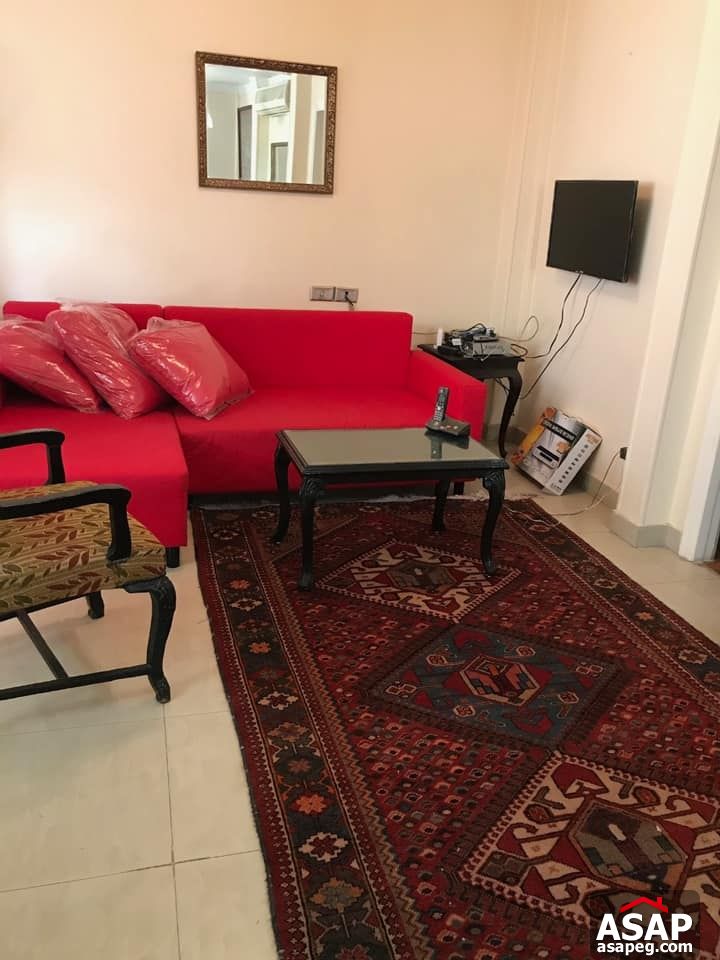 Apartment for Rent in Zamalek Apartment for Rent in Zamalek