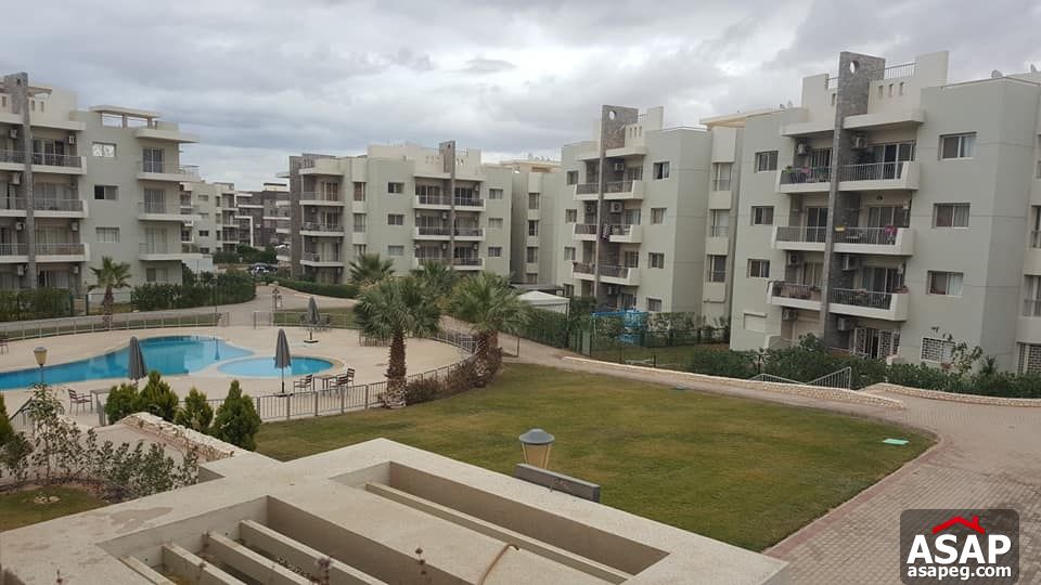 Apartment with Pool View for Rent in the Address - Sheikh Zayed Apartment with Pool View for Rent in the Address - Sheikh Zayed