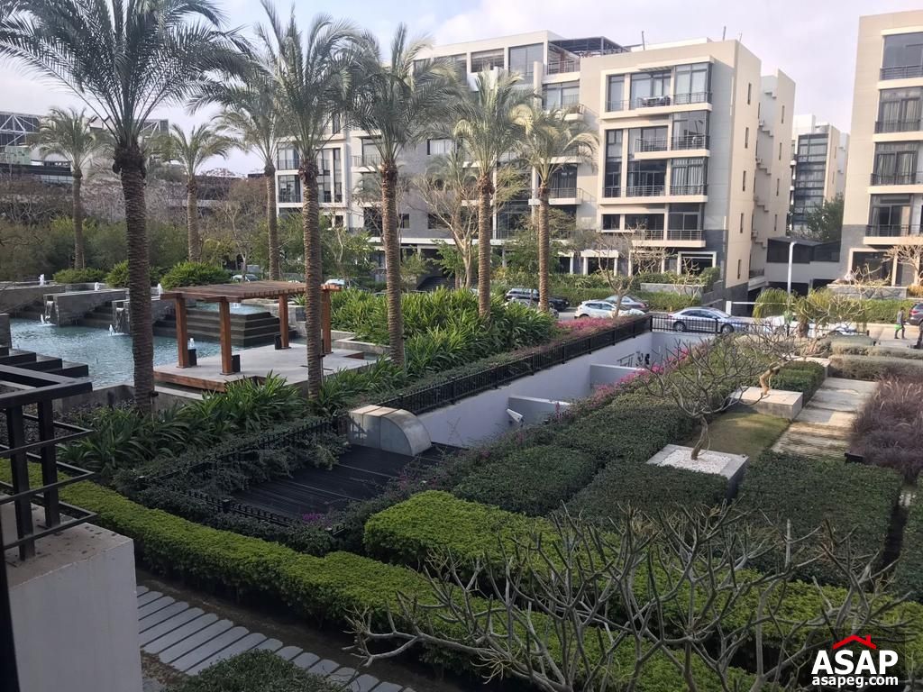 Apartment for Rent in the WaterWay Apartment for Rent in the WaterWay