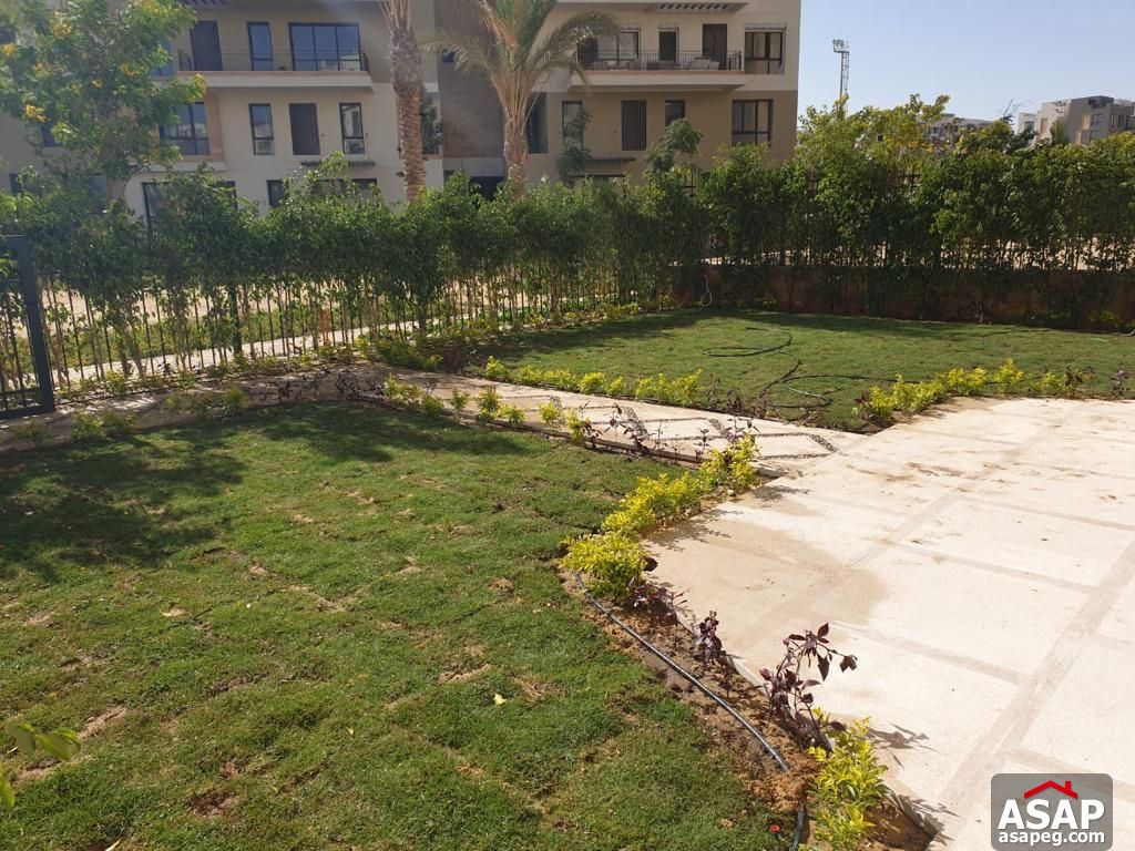 Duplex with Garden for Rent in Eastown Duplex with Garden for Rent in Eastown