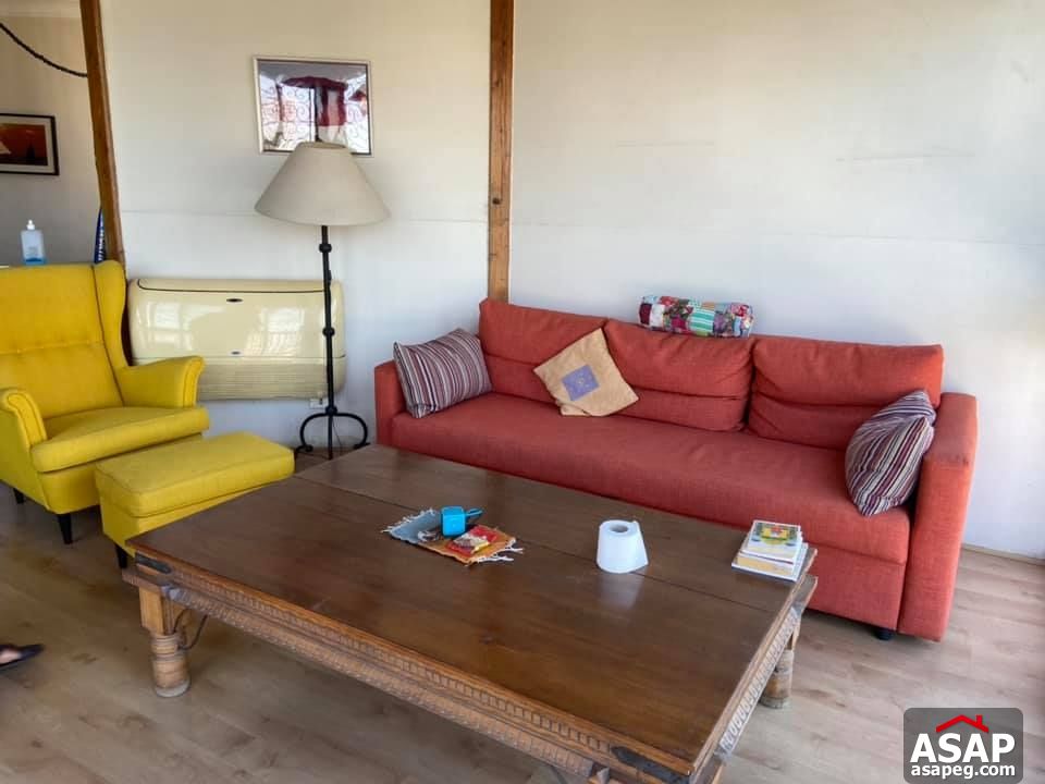 Apartment for Rent in Zamalek Apartment for Rent in Zamalek