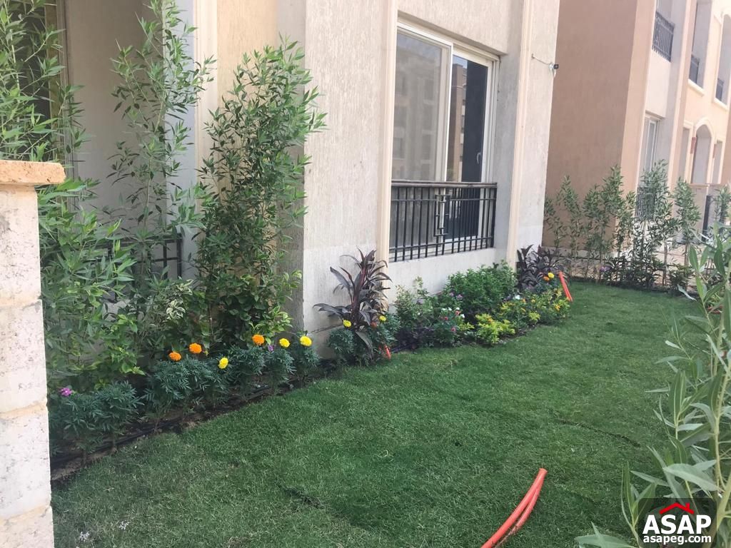 Ground Floor for Rent in Stone Residence