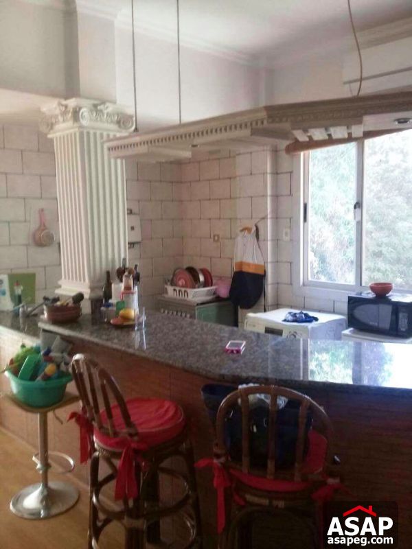 PentHouse for Rent in Maadi