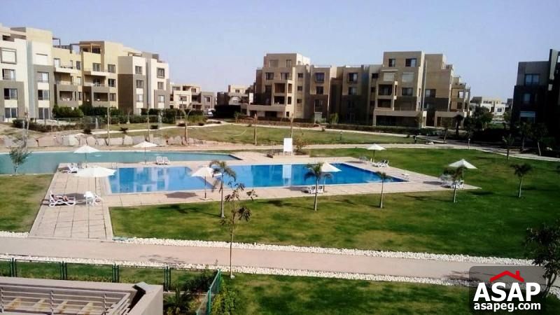 Apartment for Rent in Palm Parks - Sheikh Zayed