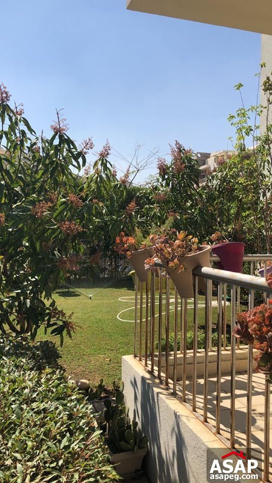 Apartment for Rent in The Address - Sheikh Zayed Apartment for Rent in The Address - Sheikh Zayed