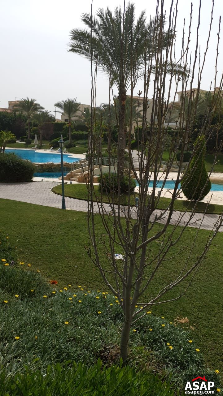 Stand Alone with Lake View for Rent in El Patio Compound Stand Alone with Lake View for Rent in El Patio Compound