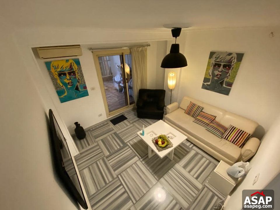 Furnished Apartment for Rent in Zamalek Furnished Apartment for Rent in Zamalek