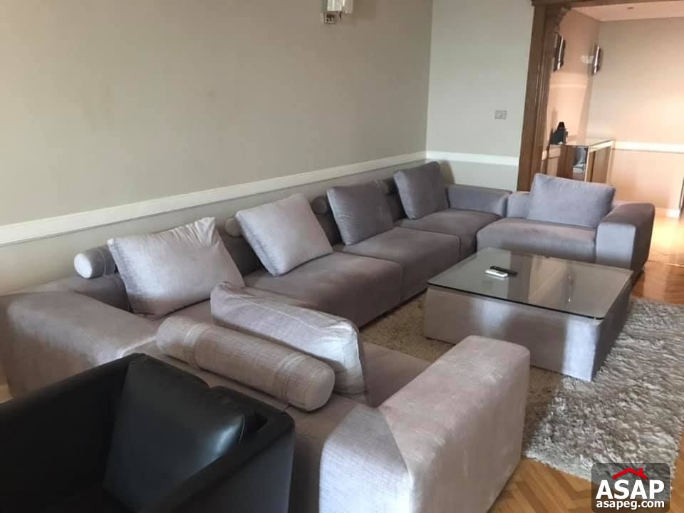 Apartment for Rent in Zamalek Apartment for Rent in Zamalek