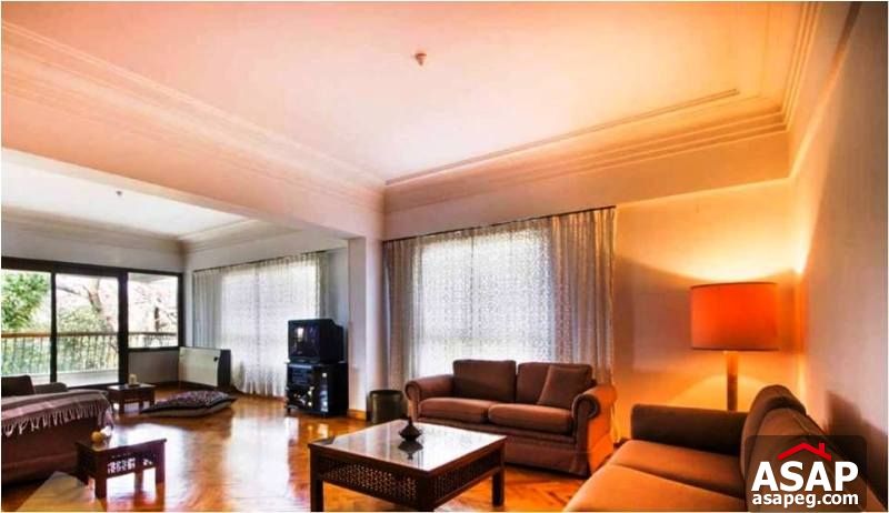 Apartment with Big Terrace for Rent in Dokki Apartment with Big Terrace for Rent in Dokki