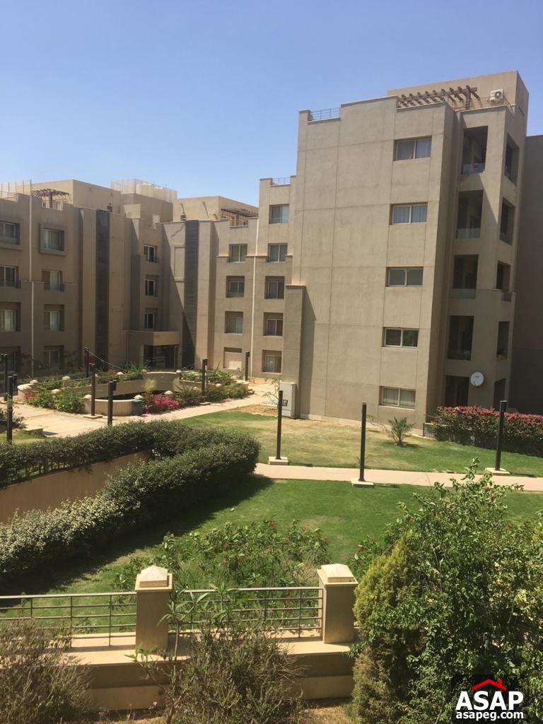 Ground Floor for Rent in the Village Palm Hills