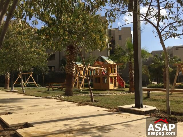 Studio for Rent in the Village Palm Hills