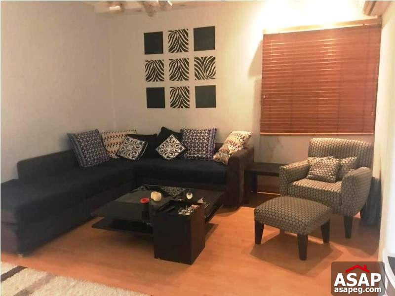 Nice Property in Zamalek for Rent Nice Property in Zamalek for Rent