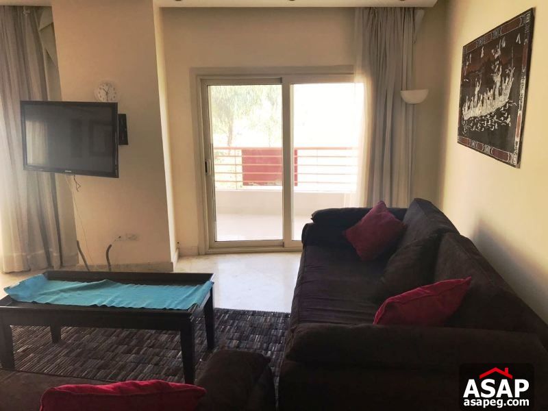 Furnished Studio for Rent in Choueifat - New Cairo Furnished Studio for Rent in Choueifat - New Cairo