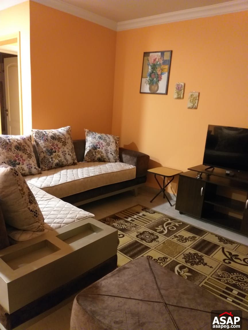 Furnished Apartment for Rent in New Cairo Furnished Apartment for Rent in New Cairo