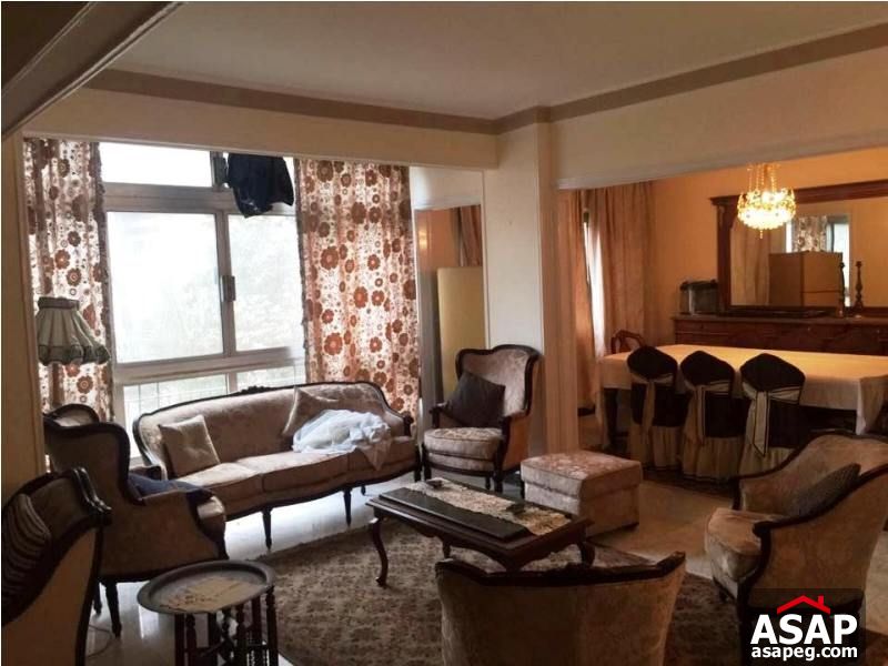 Apartment for Rent in Dokki Apartment for Rent in Dokki