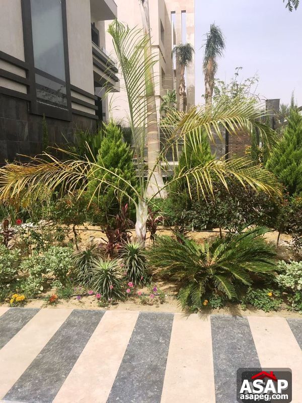 Apartment with Golf View in Katameya Dunes for Rent Apartment with Golf View in Katameya Dunes for Rent