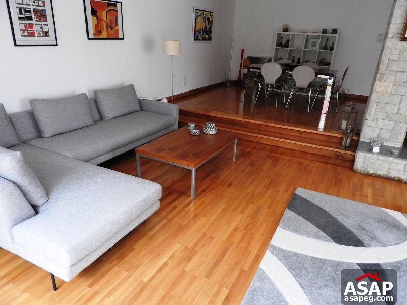 Villa with Garden for Rent in Maadi Villa with Garden for Rent in Maadi