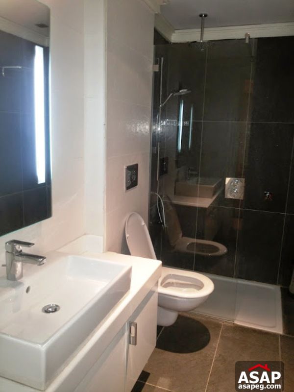 Apartment with Garden in Zamalek Apartment with Garden in Zamalek