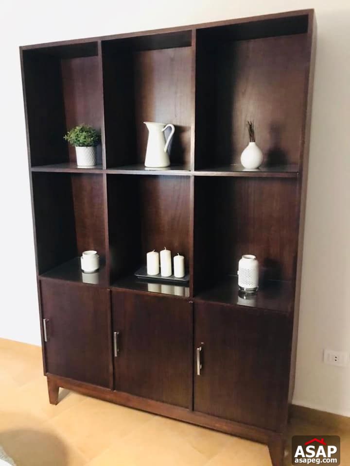 Apartment for Rent in Zamalek Apartment for Rent in Zamalek