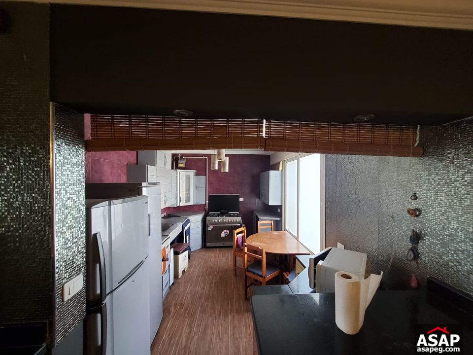 Penthouse for Rent in Park View Penthouse for Rent in Park View