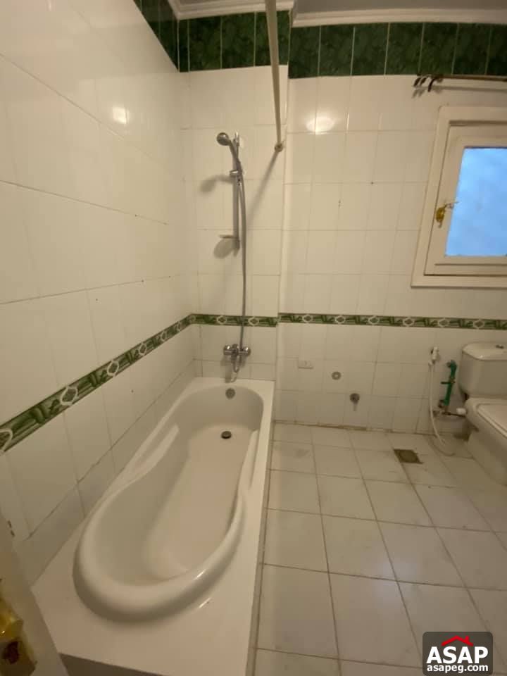 Apartment for Rent in Zamalek Apartment for Rent in Zamalek