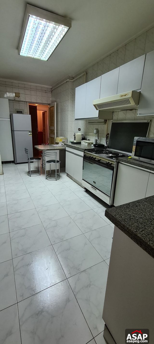 Apartment for Rent in Zamalek Apartment for Rent in Zamalek