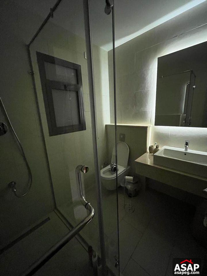 Furnished Apartment for Rent in Eastown