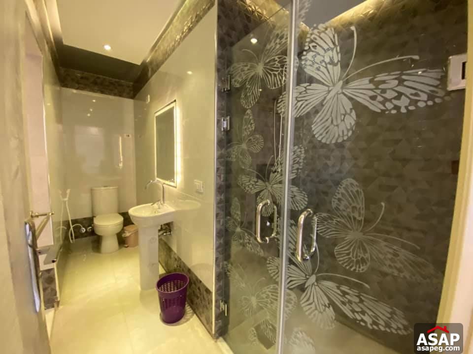 Apartment for Rent in Zamalek Apartment for Rent in Zamalek