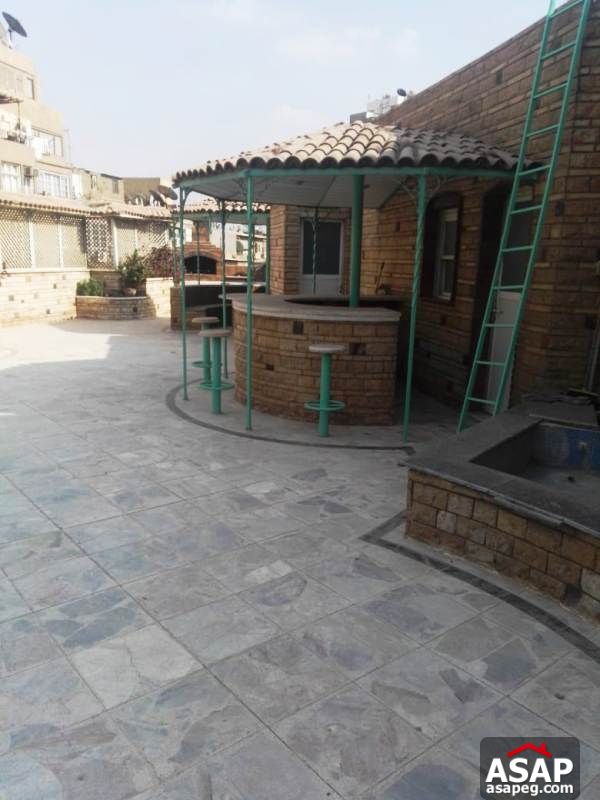 Apartment with Big Roof for Rent in Zamalek Apartment with Big Roof for Rent in Zamalek