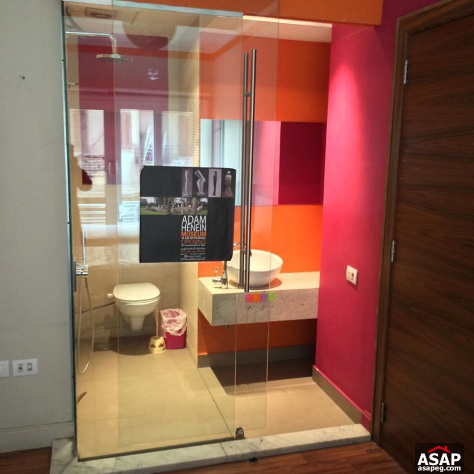 Apartment for Rent in Zamalek Apartment for Rent in Zamalek