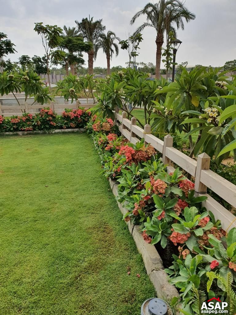 Ground Floor for Rent in Cairo Festival City